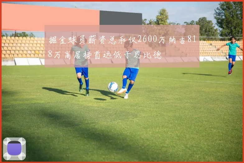 掘金球员薪资总和仅2600万纳吉818万高居榜首远低于恩比德