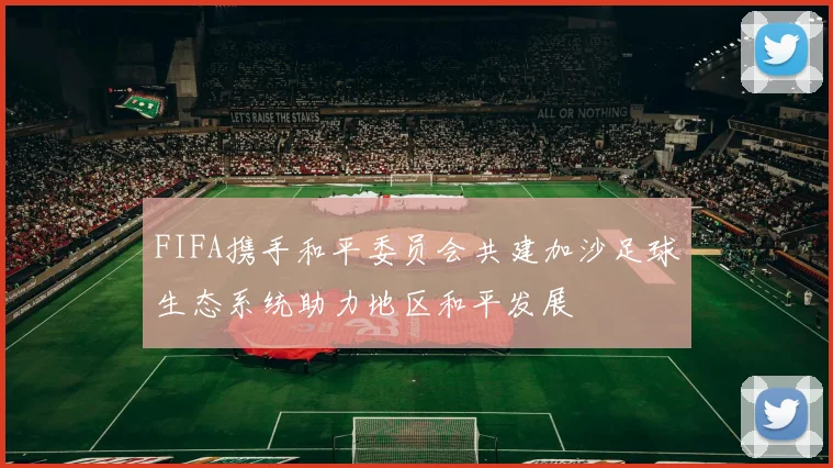 FIFA携手和平委员会共建加沙足球生态系统助力地区和平发展